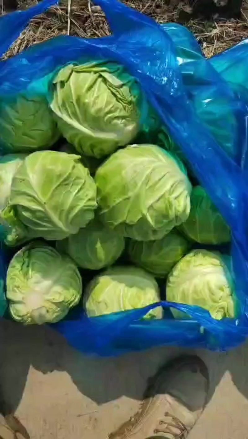 这个时候的质量**杠杠的，漂亮的想咬一口