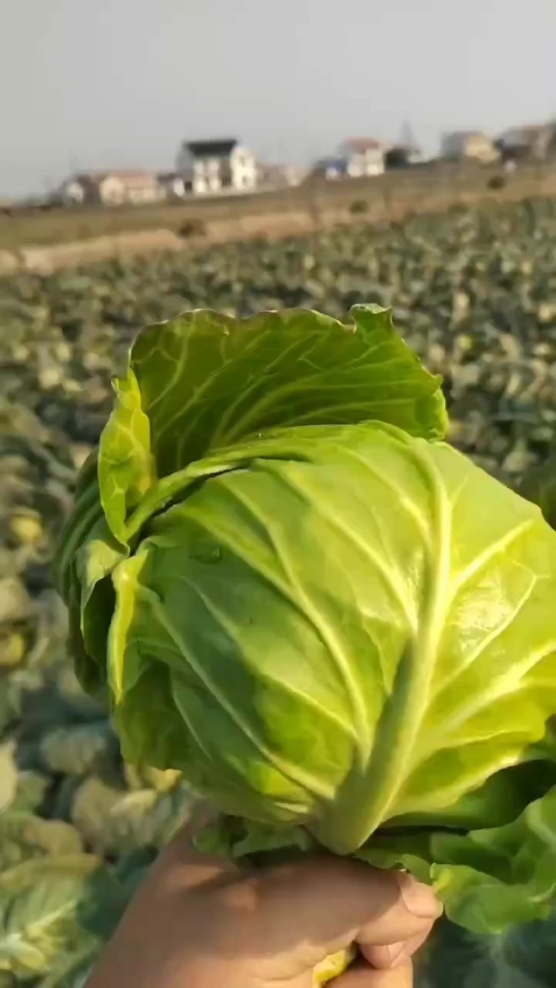 这个时候的质量**杠杠的，漂亮的想咬一口