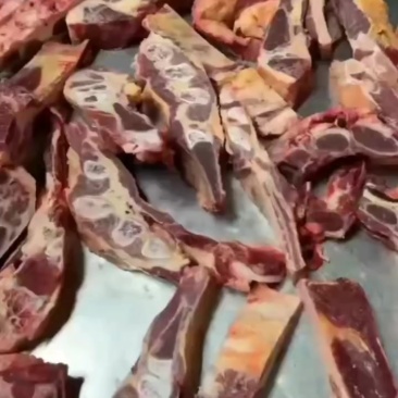黄膘牛胸排