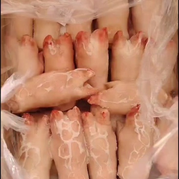 一级带筋猪蹄！个头均匀！【腾惠更多客户的选择】