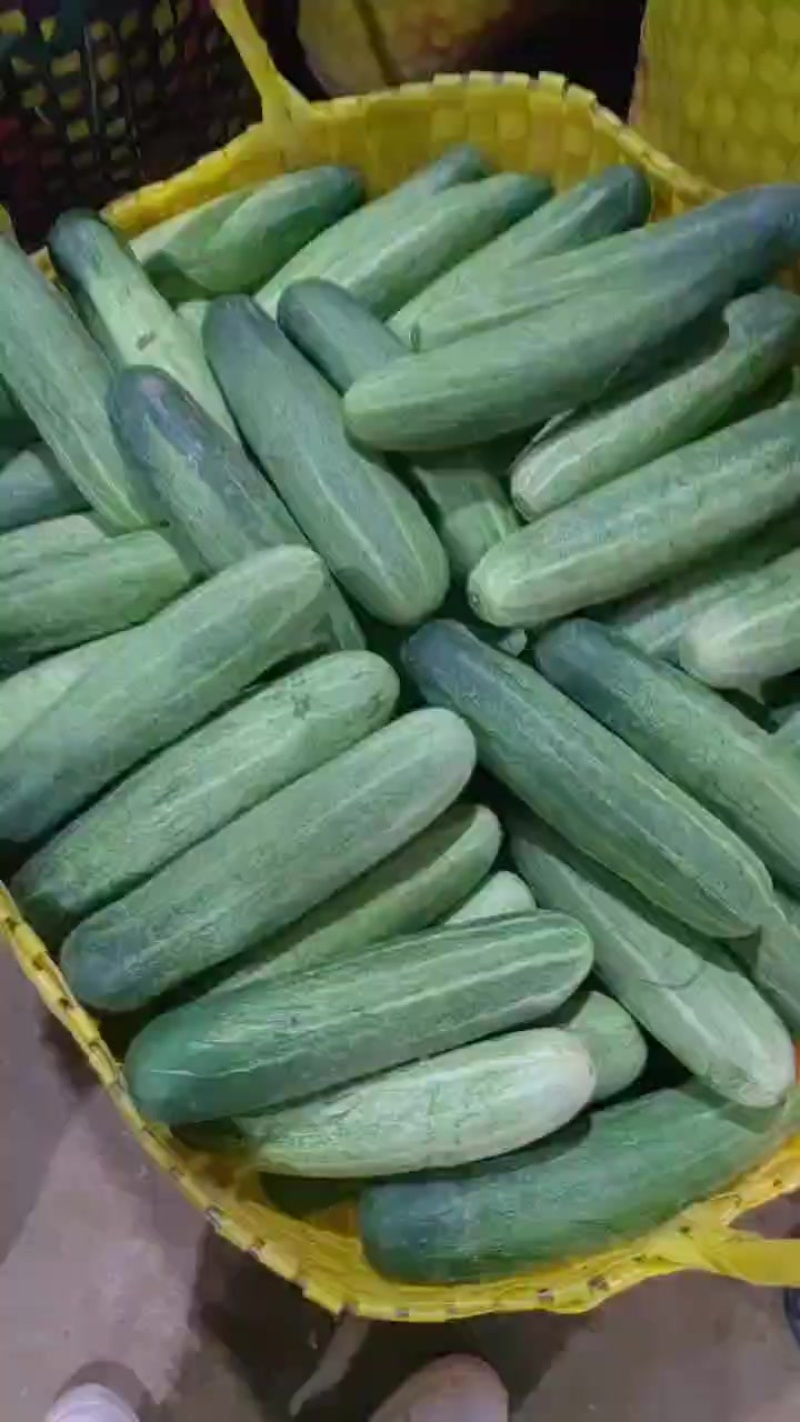 吊瓜