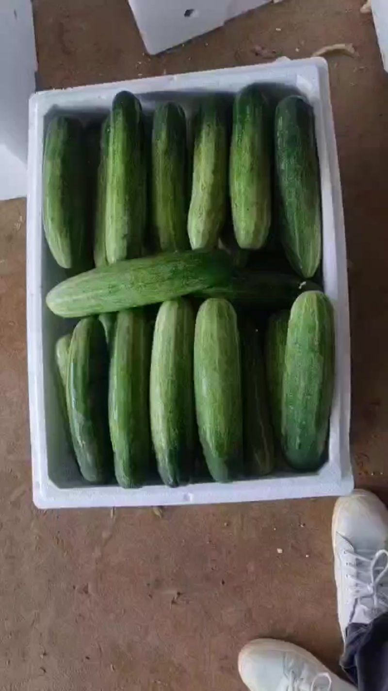 吊瓜