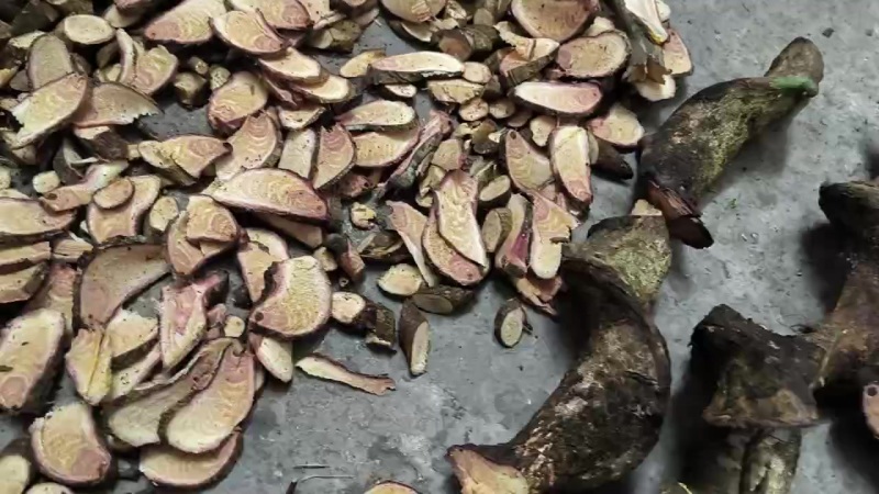 龙须藤中草药