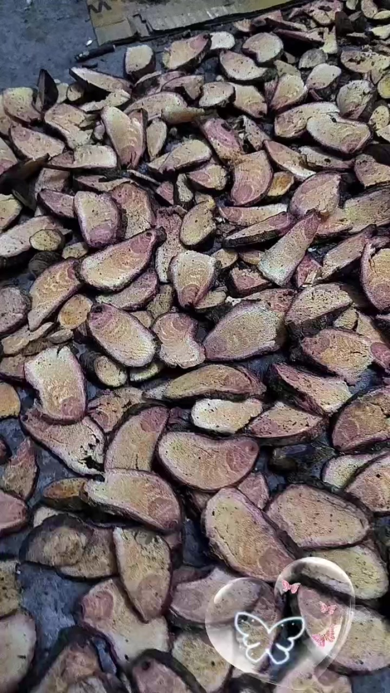 龙须藤中草药