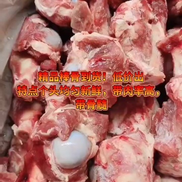 精品棒骨到货！低价出特点个头均匀新鲜，带肉率高，带骨髓