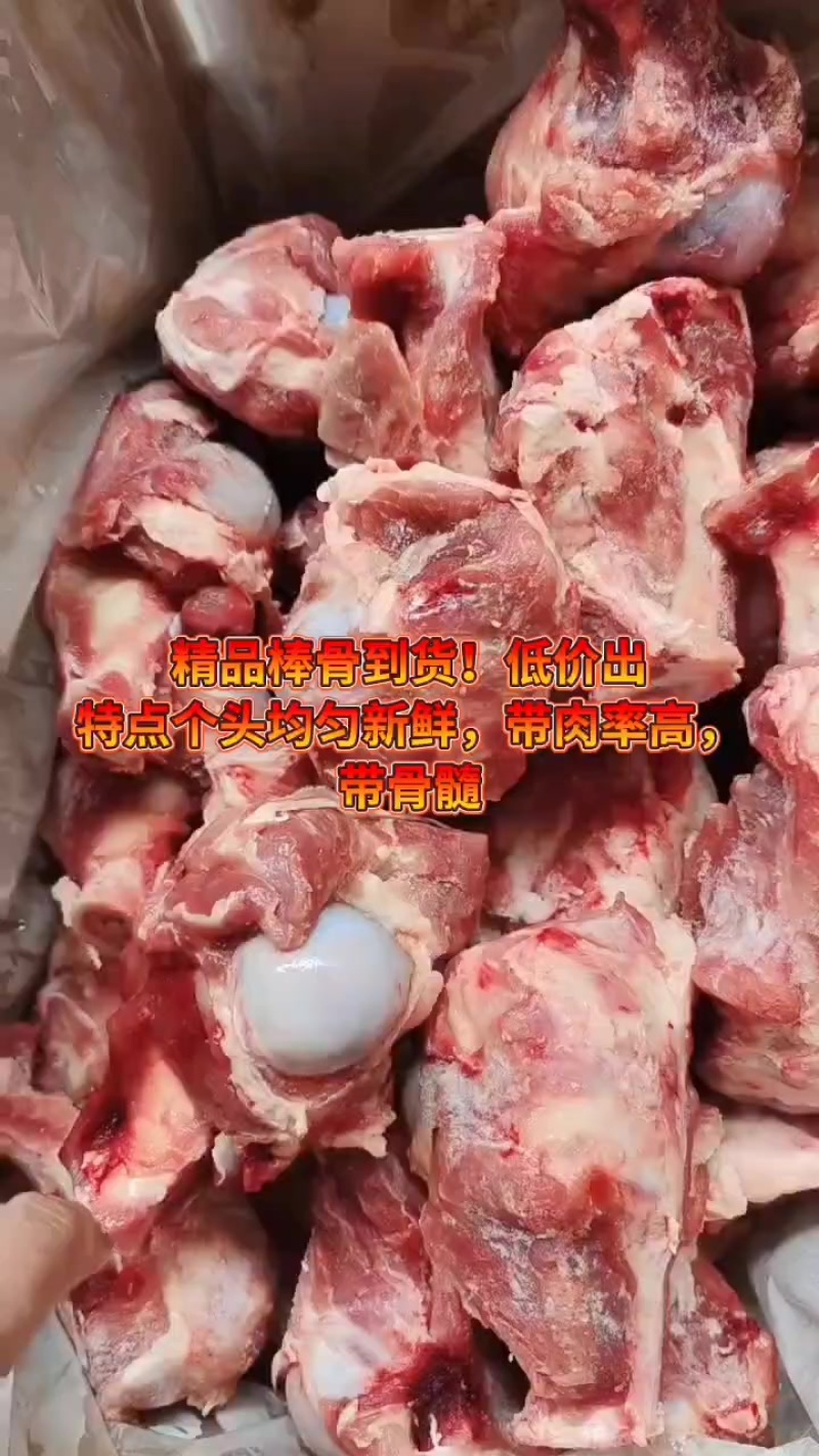 精品棒骨到货！低价出特点个头均匀新鲜，带肉率高，带骨髓