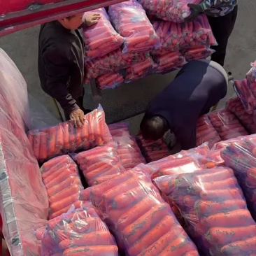 胡萝卜🥕北京包