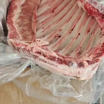 国产羊排腾惠更多客户的选择全国接单
