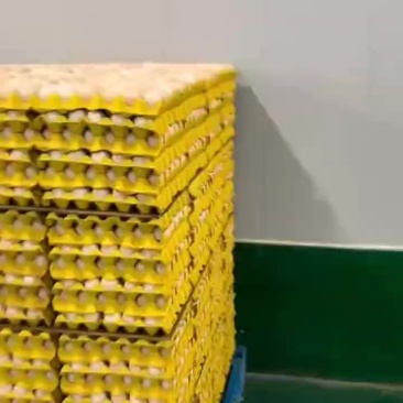 量大优先！