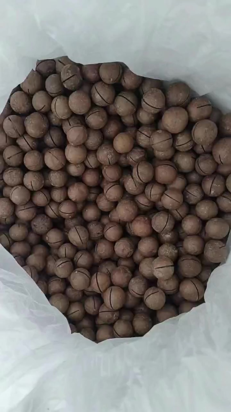 夏威夷果