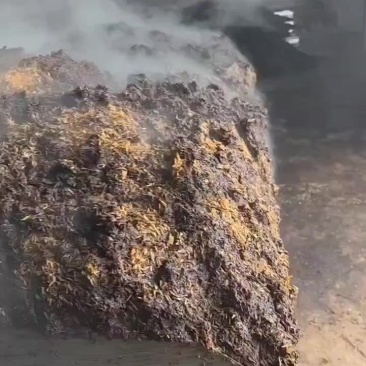 酱香型白酒糟