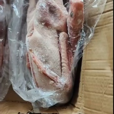 铁锅炖大鹅