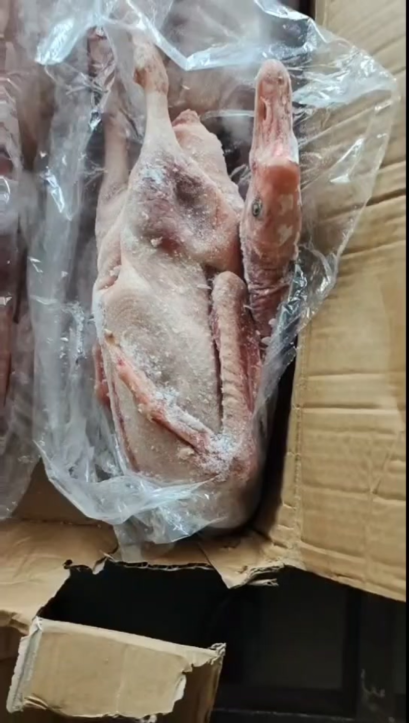 铁锅炖大鹅