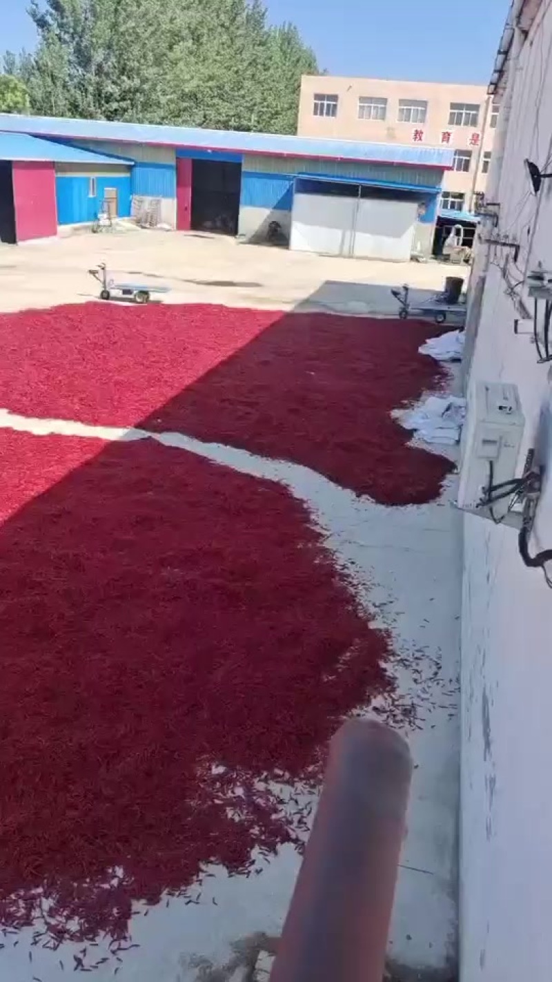 辣椒段，辣椒