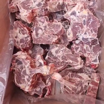 羊脊骨