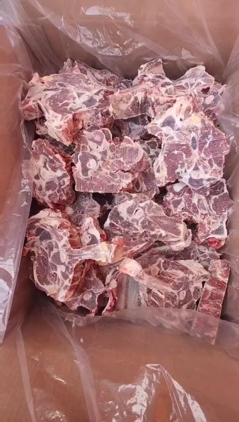羊脊骨