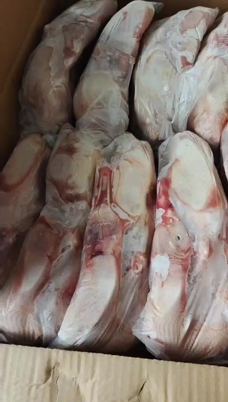 白条鸭腾惠更多客户的选择