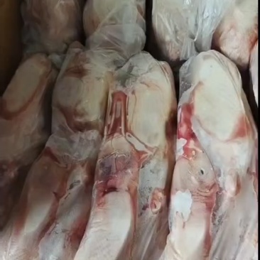 白条鸭