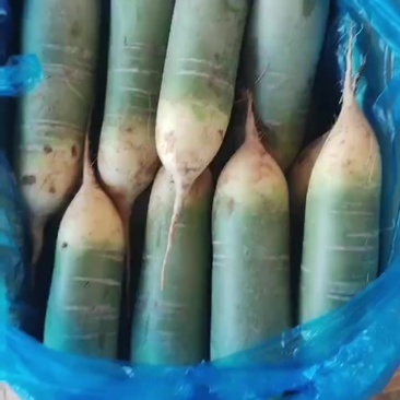 水果萝卜