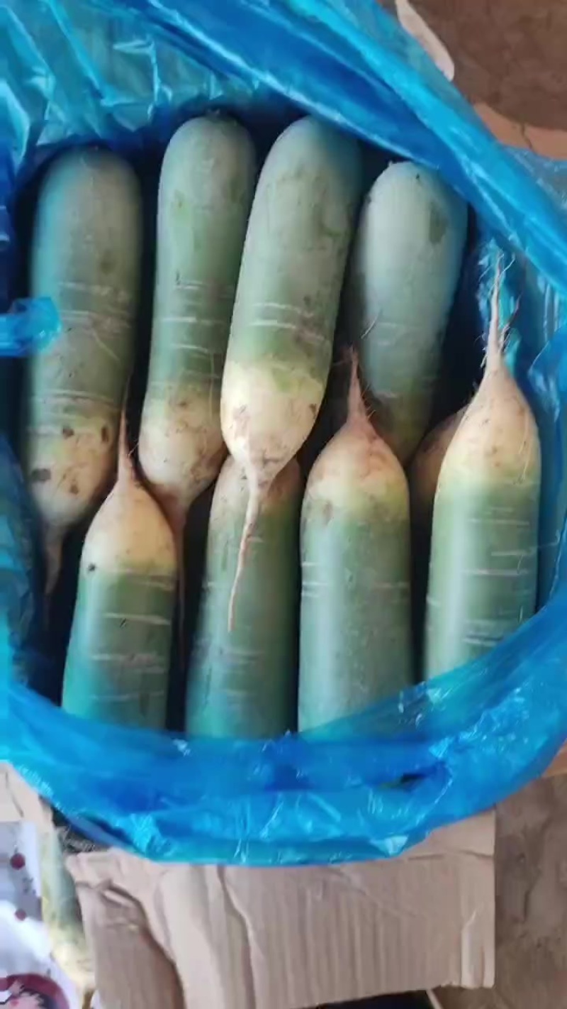 水果萝卜