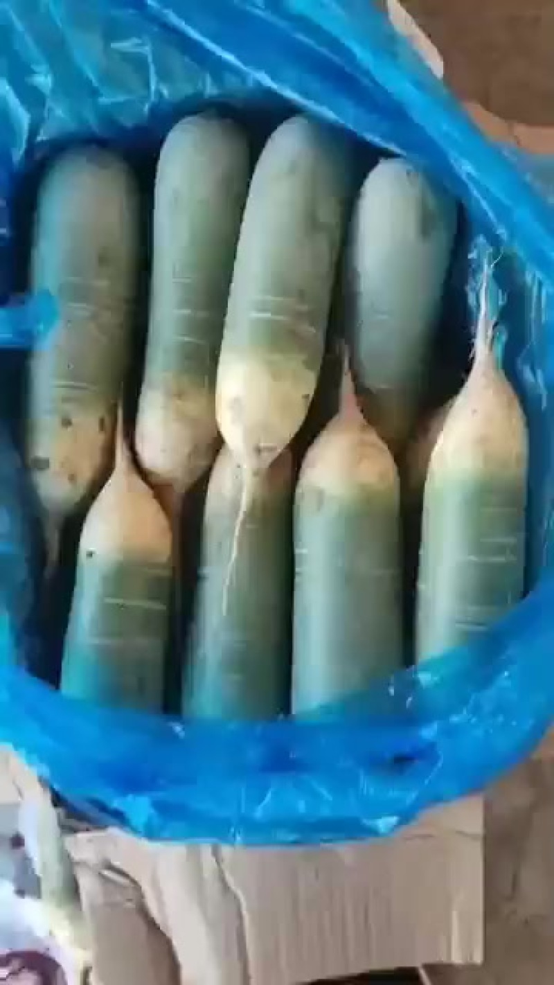 水果萝卜
