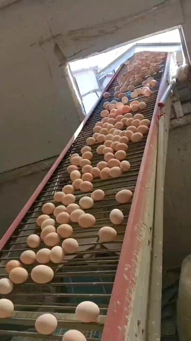 精品通货质量保证需要的联系
