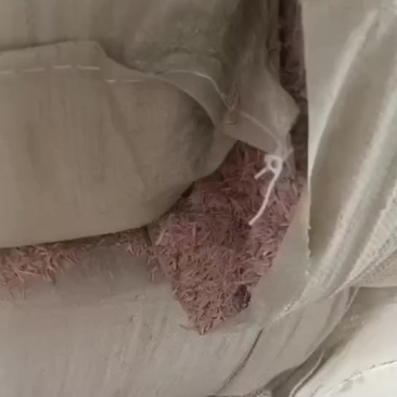 压缩稻壳装货中！
