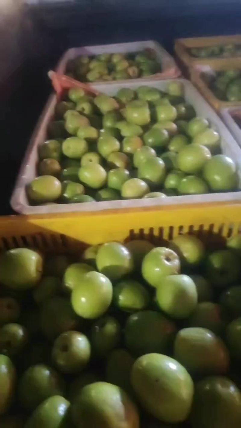 苹果枣