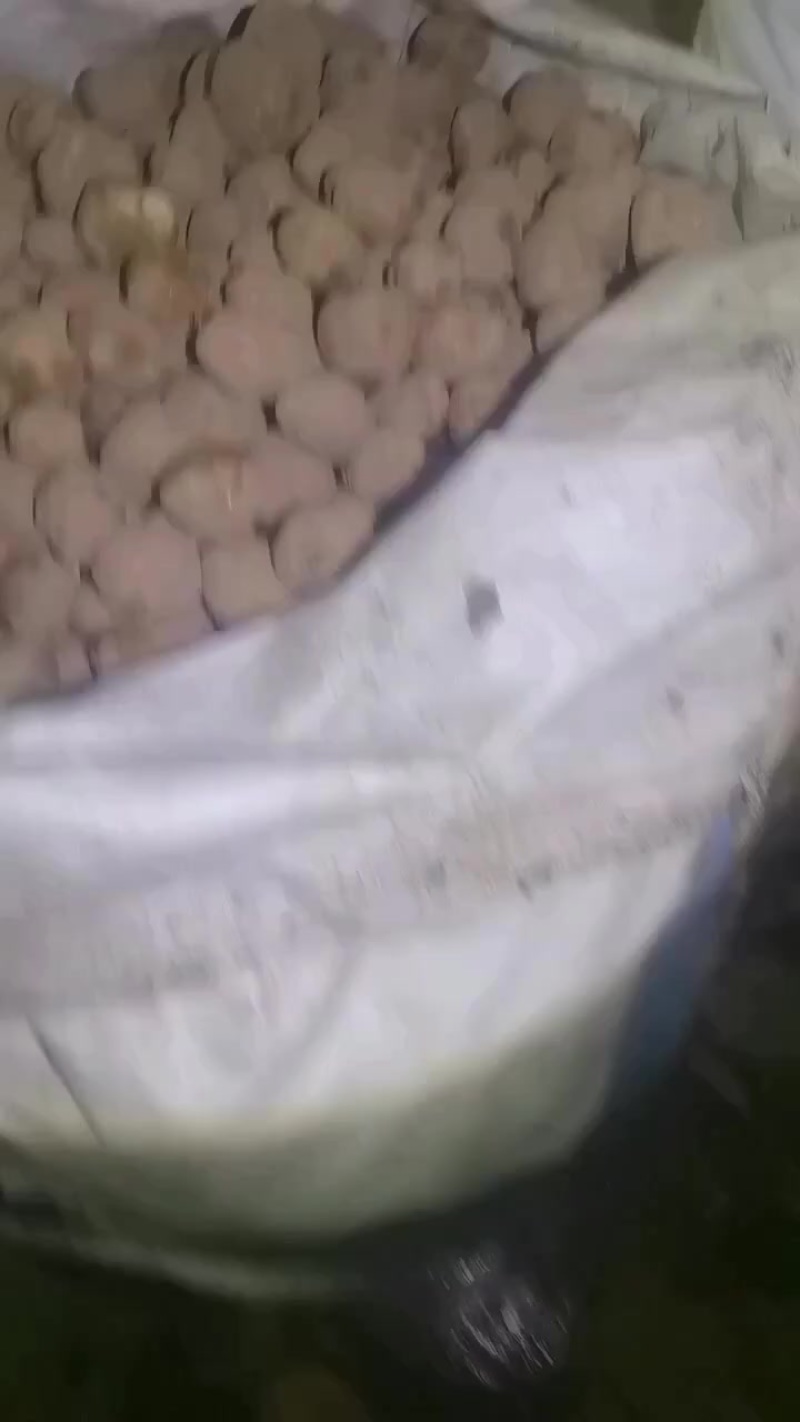 大西洋薯片土豆库存