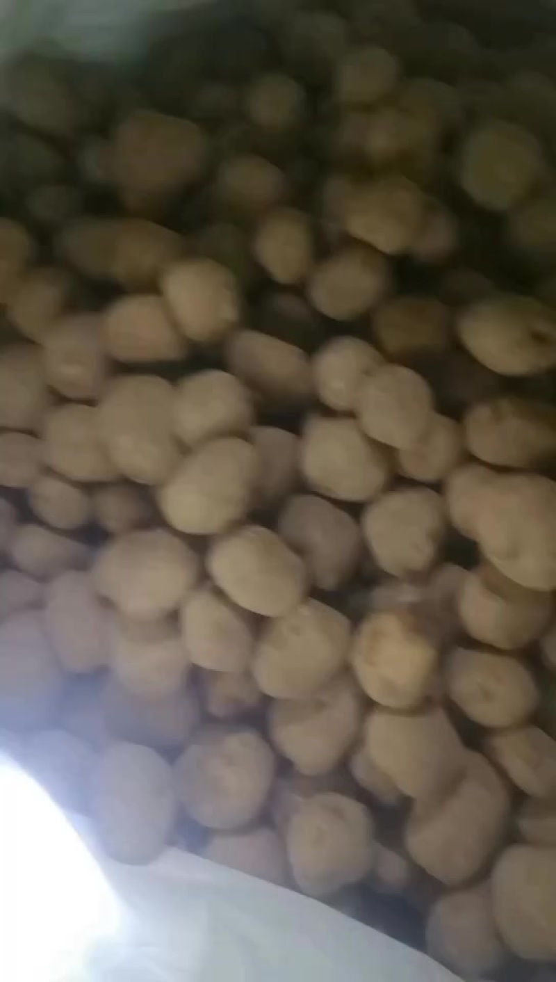 大西洋薯片土豆库存