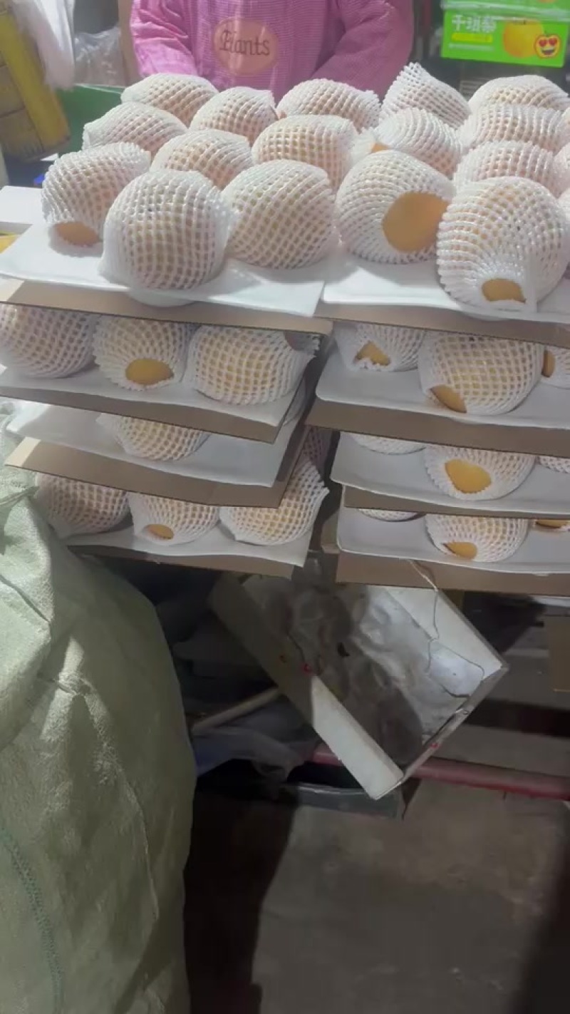正宗山东莱阳秋月梨，大小规格，品种齐全，发货个大超市！