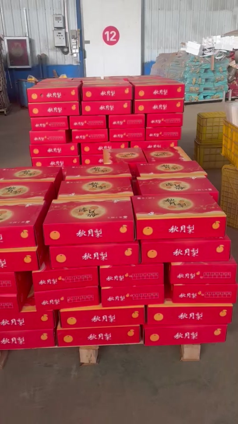 正宗莱阳秋月梨，继续发货，可对接超市，团购，档口