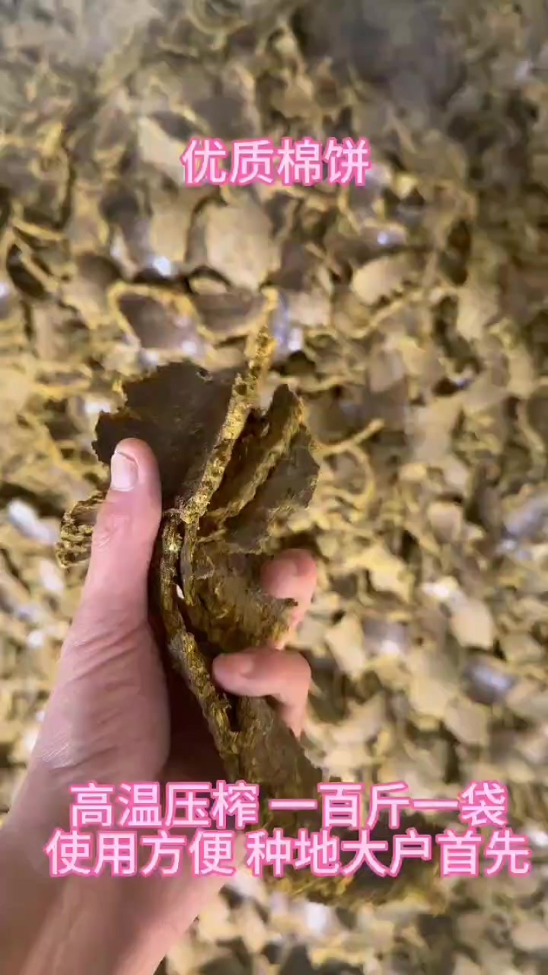 棉籽饼