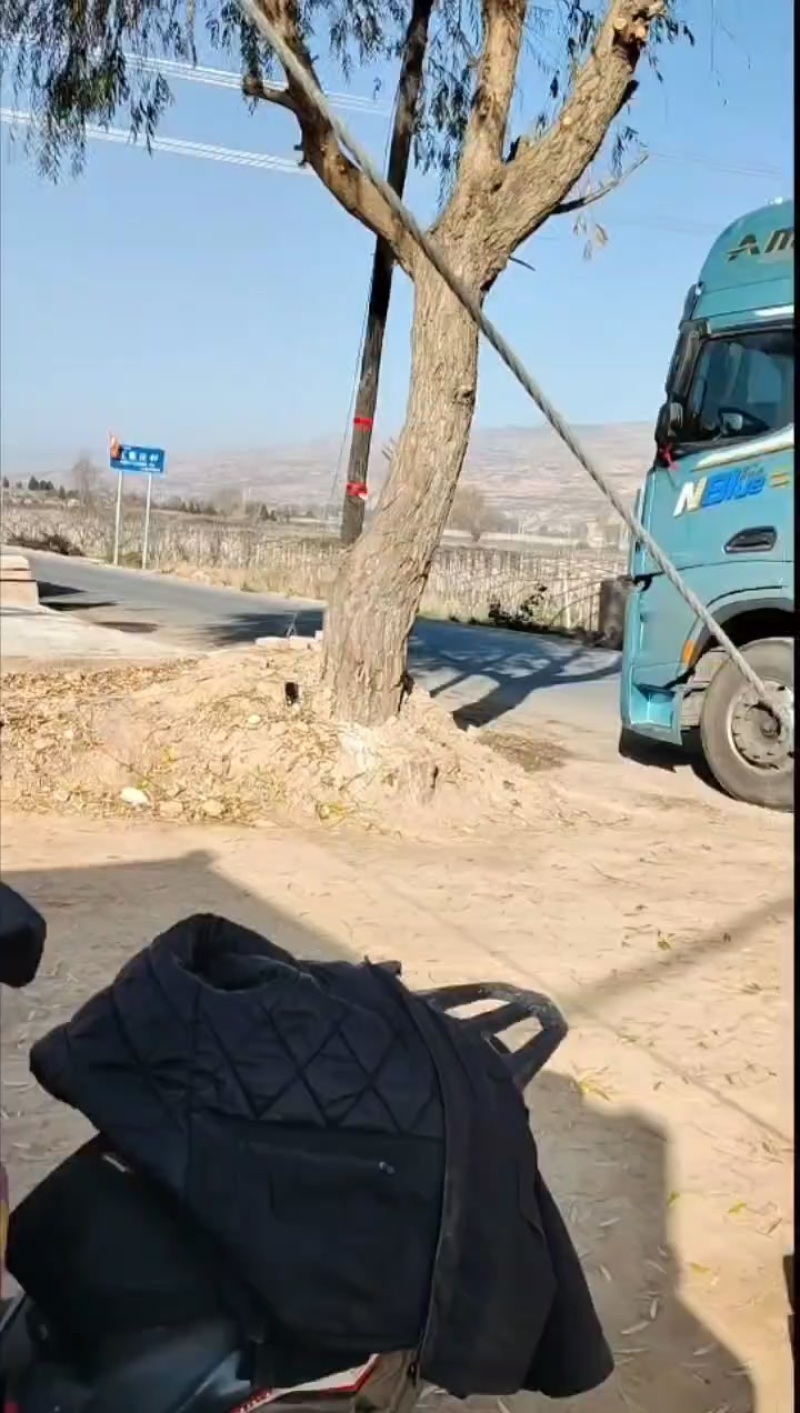 发酵纯羊粪，一吨25袋一袋80斤，质量保证
