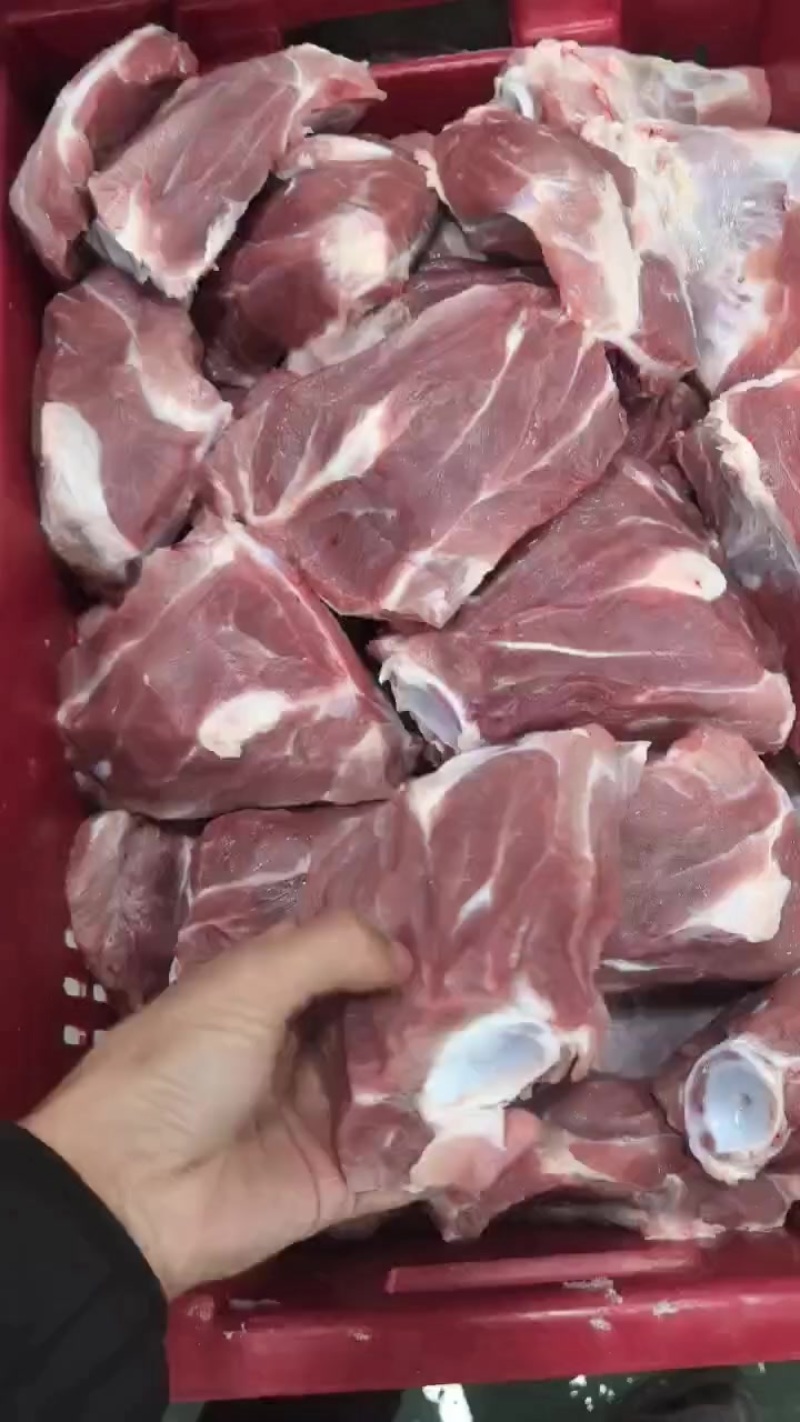 肉前骨，龙骨大量有货产地直发品质保证