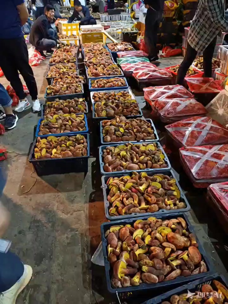 红葱牛肝菌