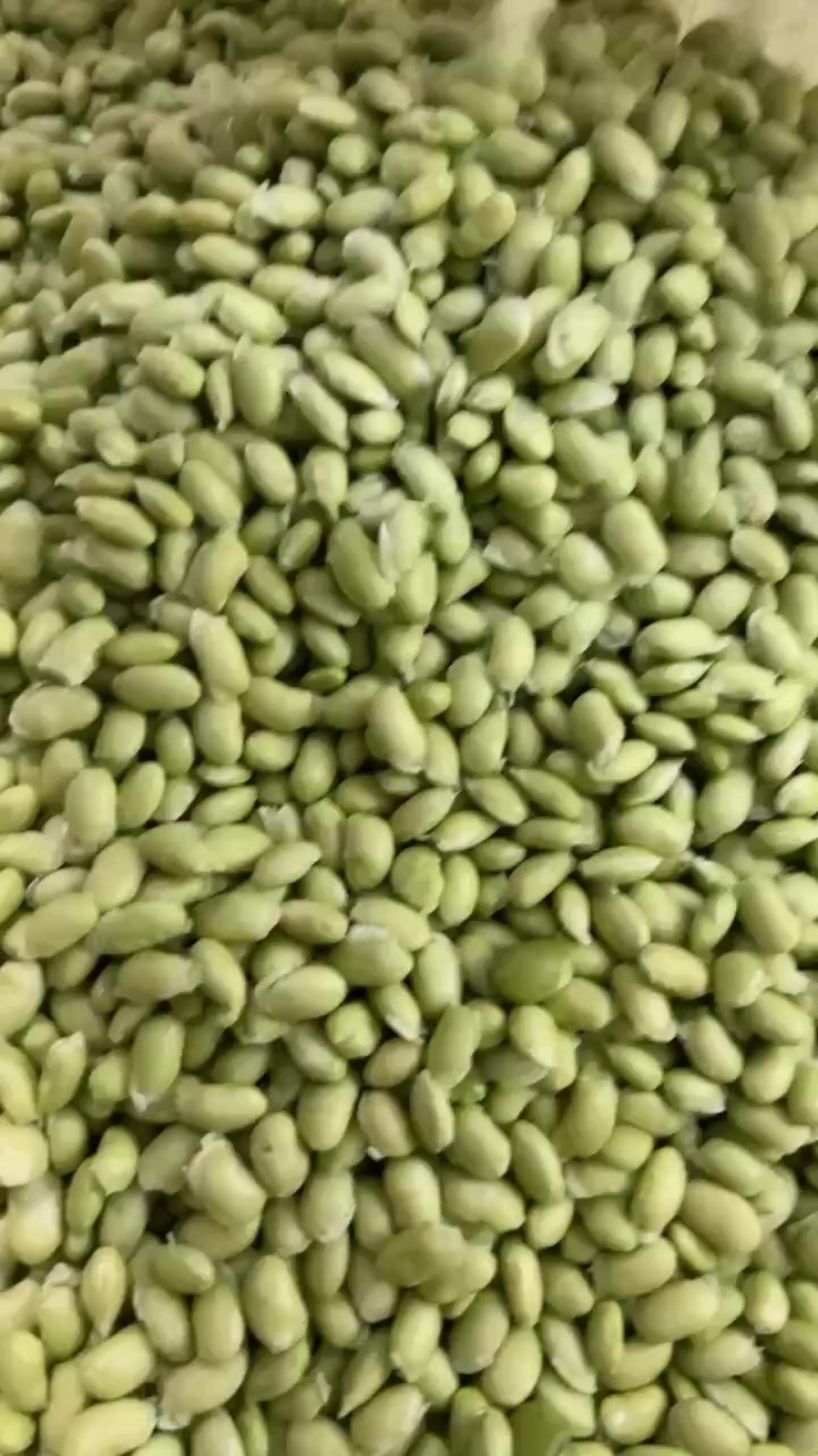 有货，有货！大量有货！
