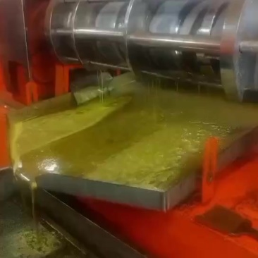 俄罗斯非转基因熟榨菜籽油