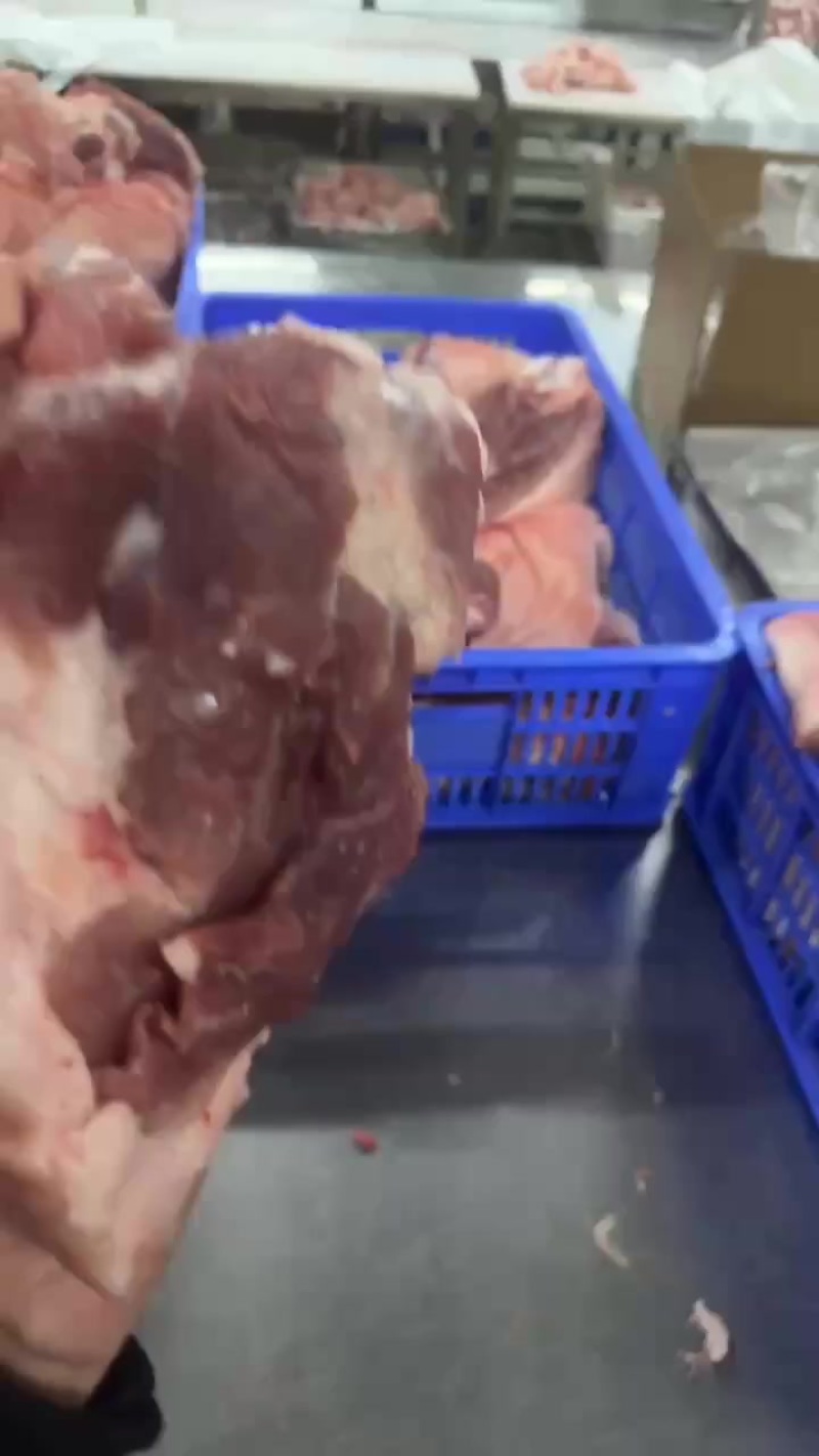 肘子
