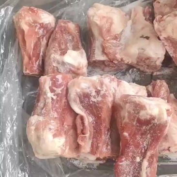 中粮后肘骨