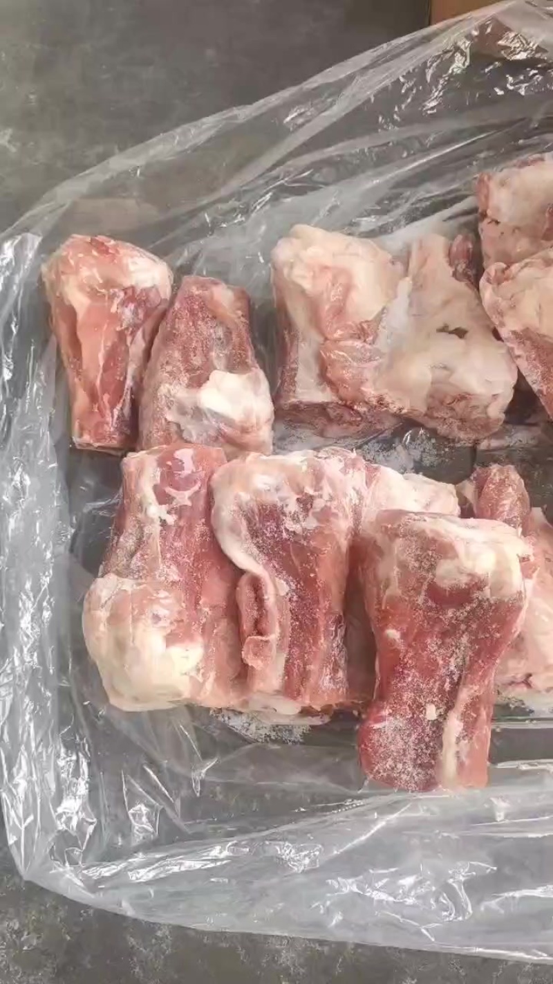 中粮后肘骨
