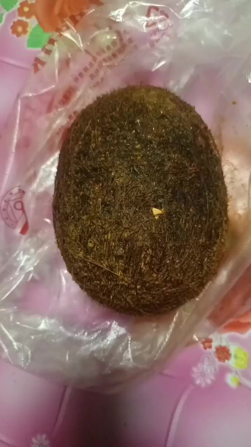 猪宝