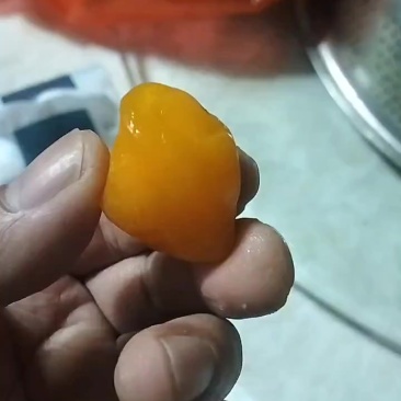 鸡宝