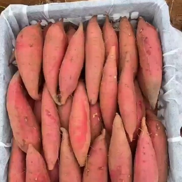 鸡蛋黄红薯