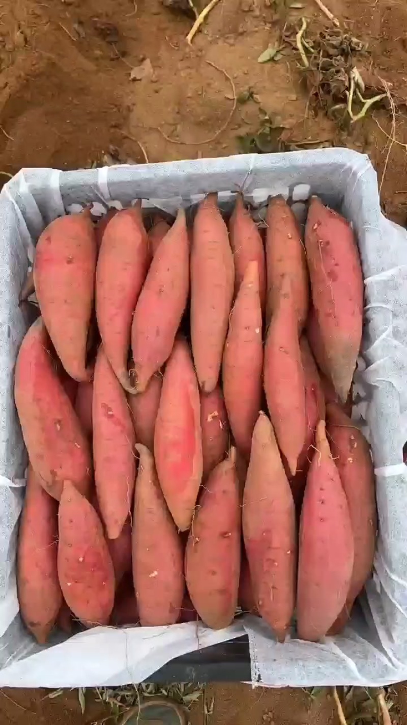 鸡蛋黄红薯