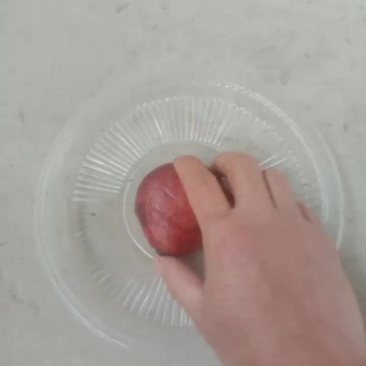 鸡宝