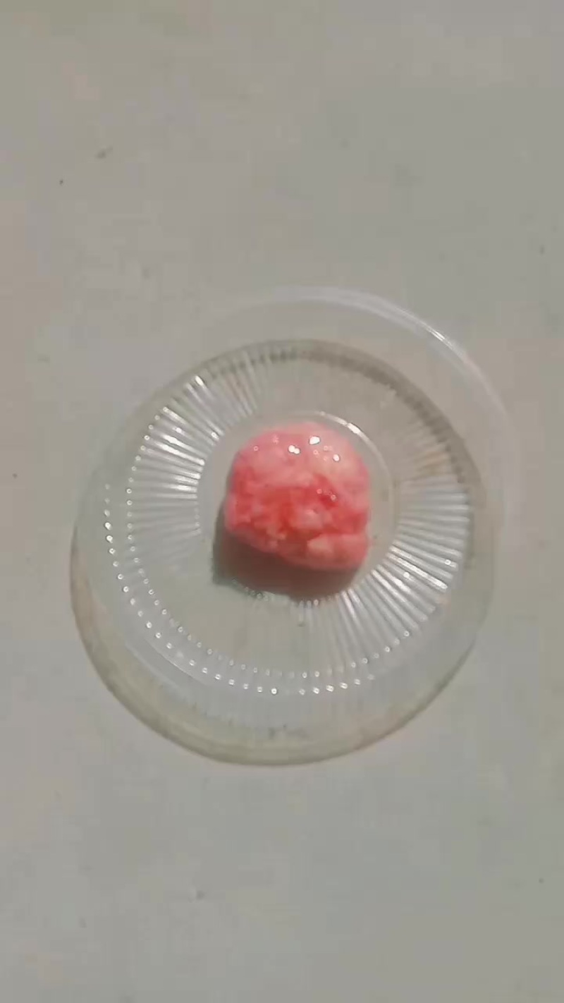 鸡宝