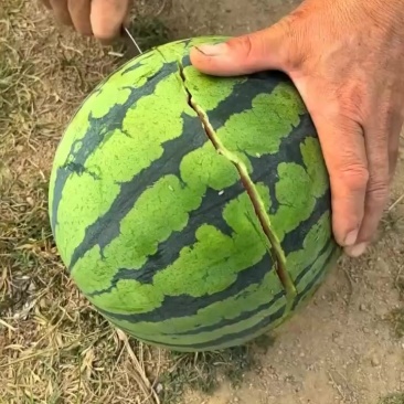 各种都有