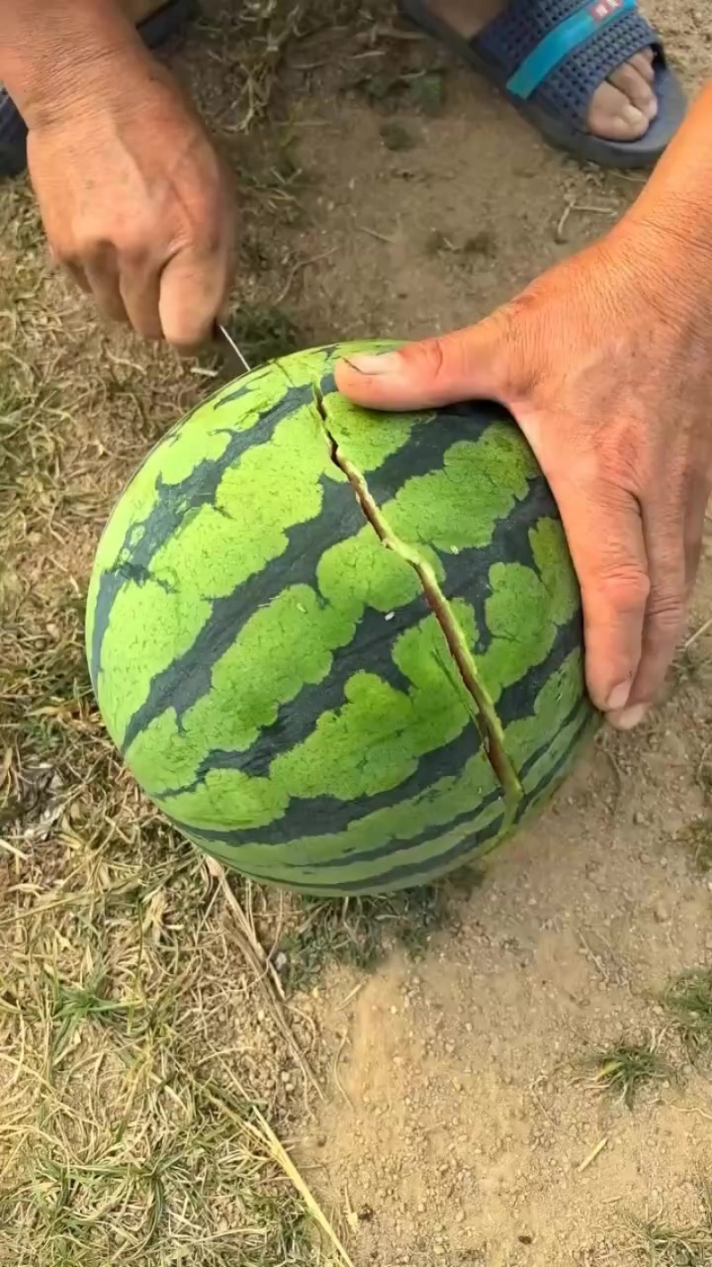 各种都有