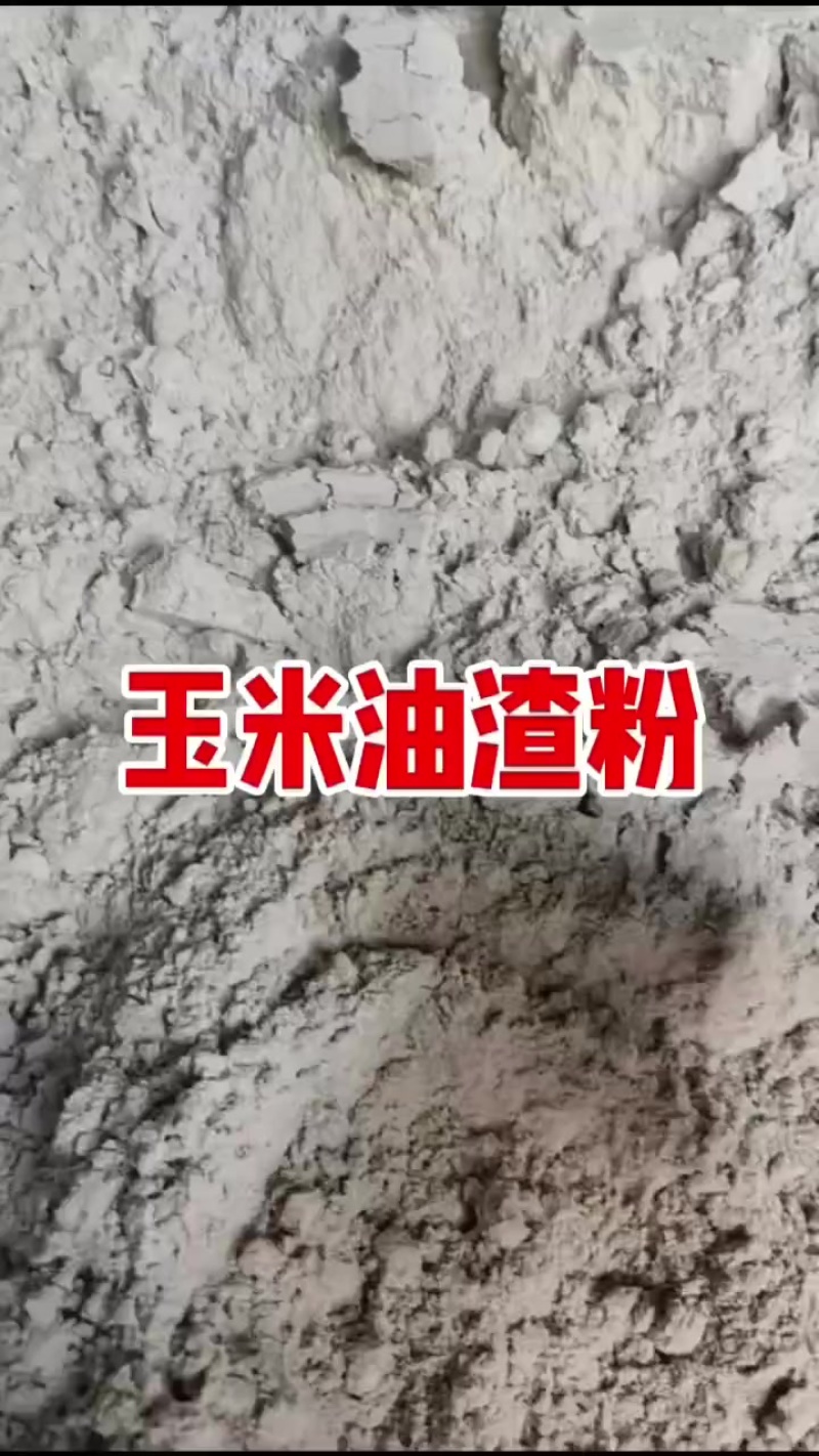 玉米油渣粉